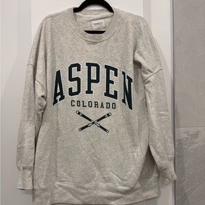 Abercrombie & Fitch Gray Aspen Sweatshirt